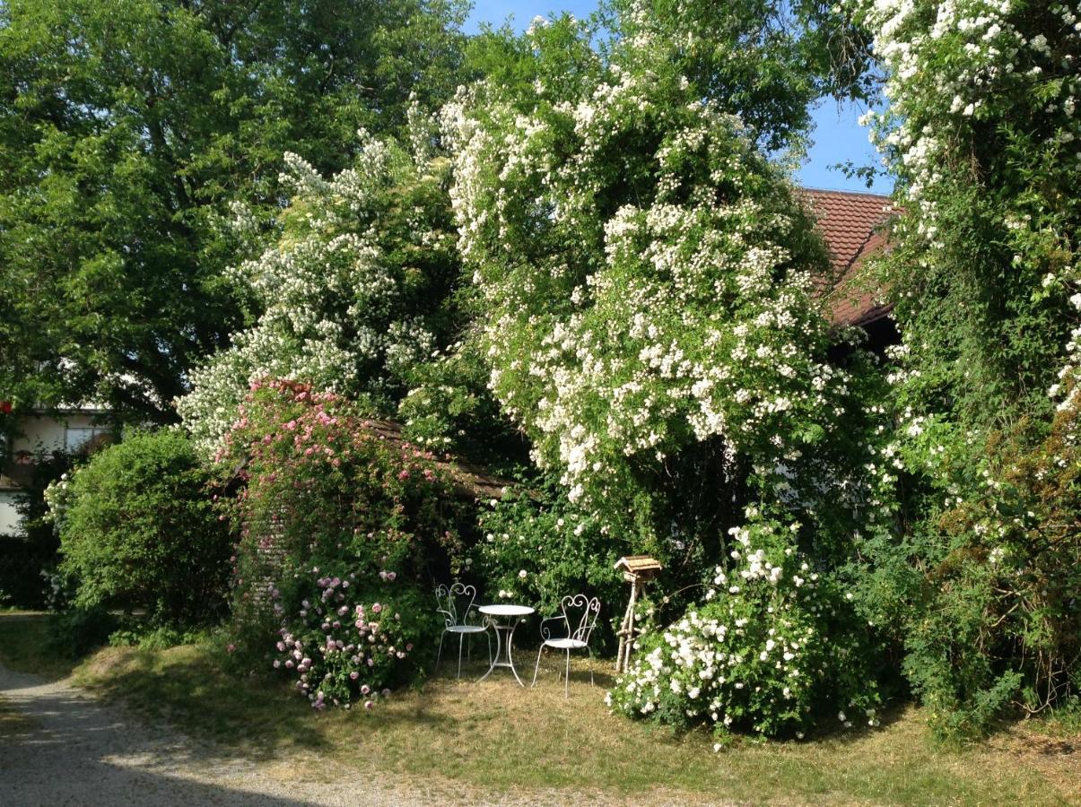 Landloft Haus Probst Appartement Schondorf am Ammersee Buitenkant foto